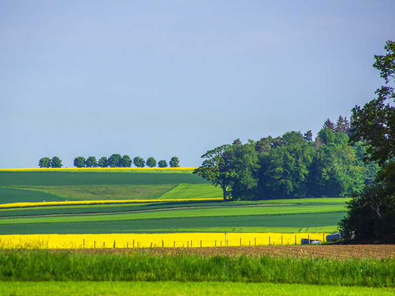 Bild zeigt Landschaft bei Ostrach