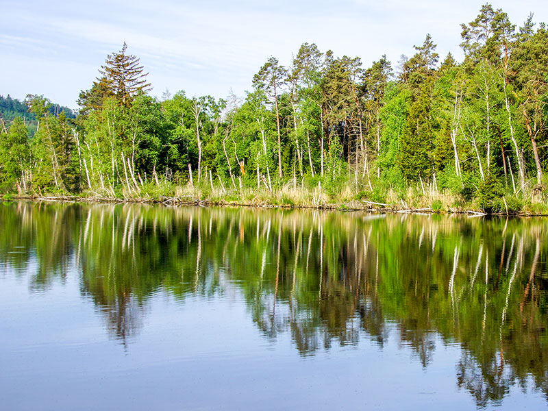 Bild zeigt Seeufer bei Ostrach