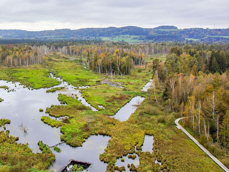 Bild zeigt das Ried bei Ostrach